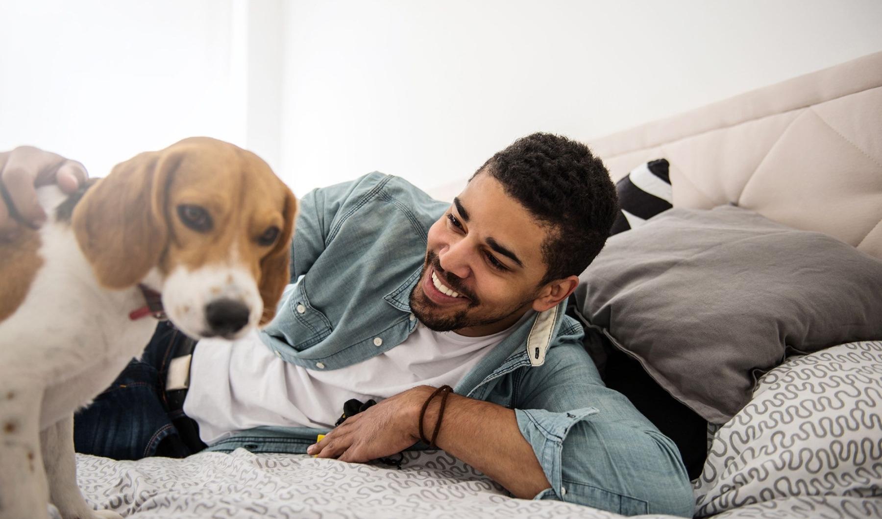man smiles and pets his dog on a bed